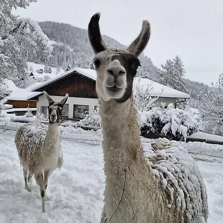 Kirchmoar * Sankt Blasen
