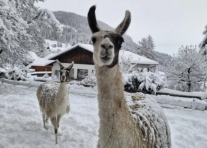 Kirchmoar * Sankt Blasen